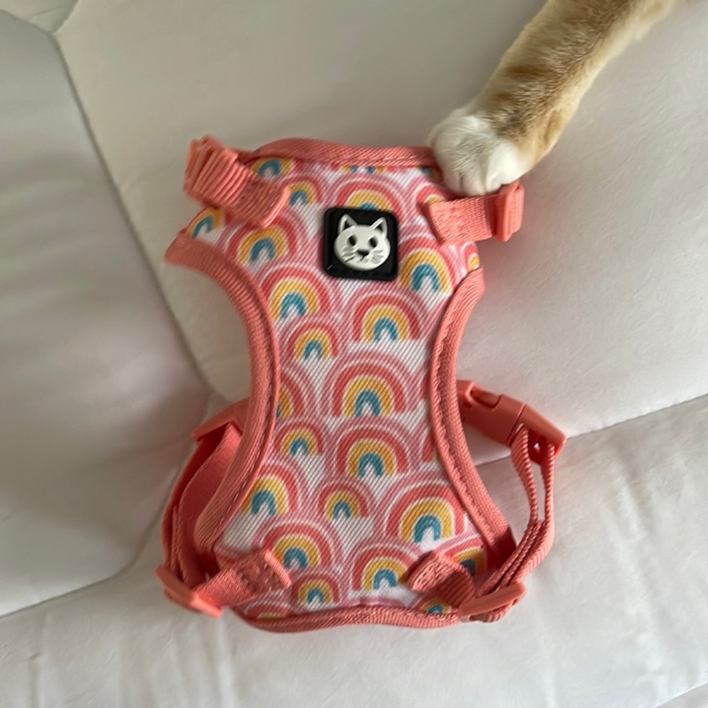 Cat harness
